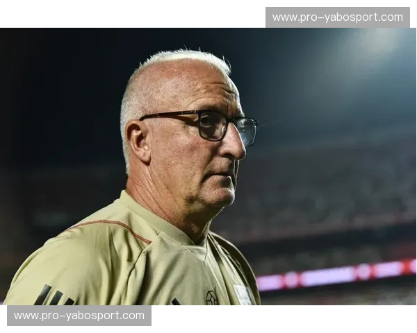 美洲杯用户增长