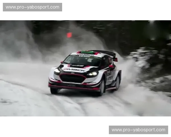 首发WRC：驱动极限，点燃赛道的每一次心跳