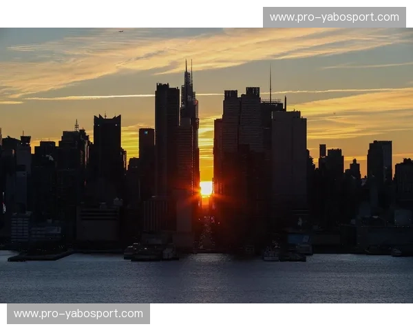 曼巴的凝视与林旋风的咆哮：那个让纽约窒息的夜晚，究竟谁才是主角？